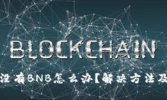 TP钱包中没有BNB怎么办？解决方法及使用技巧