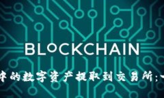 如何将TP钱包中的数字资产提取到交易所：一步一