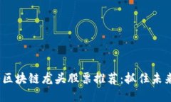 2023年政务区块链龙头股票推荐：抓住未来的投资