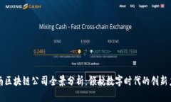海南区块链公司全景分析：领航数字时代的创新
