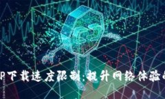 如何突破TP下载速度限制：提升网络体验的实用技