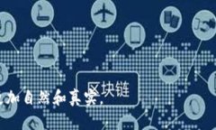   如何安全下载TP官版钱包安卓应用，保护你的资