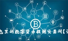 如何将TP钱包里的数字货币提到交易所？详细步骤