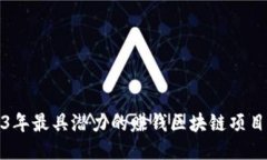 2023年最具潜力的赚钱区块链项目探讨