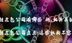 以下是关于“深圳区块链皮包公司有哪些”的、