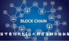 无法下载TP钱包？这几种方法助你轻松解决