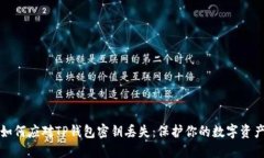 如何应对TP钱包密钥丢失：保护你的数字资产