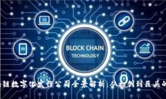 2023年区块链数字化发行公司全景解析：从初创到