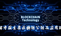 详解中国主要区块链公链及应用现状