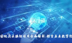 西安政府区块链项目全面解析：探索未来数字经