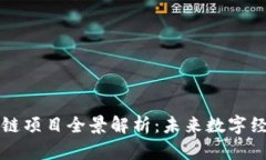 厦门的区块链项目全景解析：未来数字经济的新