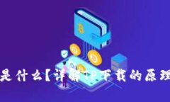 tp下载是什么？详解TP下载的原理与应用