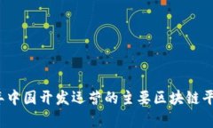 2023年中国开发运营的主要区块链平台分析