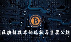 中国区块链技术的现状与主要公链概述