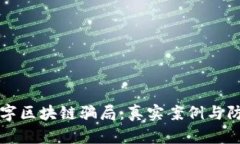 揭秘数字区块链骗局：真实案例与防范指南