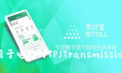 如何快速下载适用于电脑的TP（Transmission Protoco