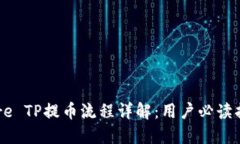 Core TP提币流程详解：用户必读指南