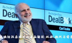 区块链混杂项目的全面解析：现状、挑战与前景