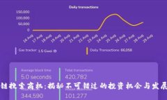 区块链搜索商机：揭秘不可错过的投资机会与发