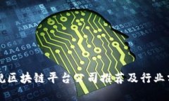 正规区块链平台公司推荐及行业分析