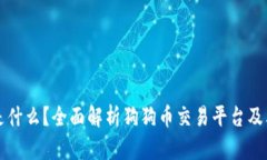 狗狗币TP是什么？全面解析狗狗币交易平台及其投