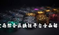 定南综合区块链平台全面解析