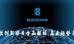 区块链科技创新项目全面解析：未来趋势与应用