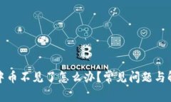 TP钱包中币不见了怎么办？常见问题与解决方案
