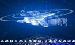 印尼区块链企业全景解析：主要公司与发展动态