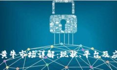 区块链黄牛市场详解：现状、平台及应对策略