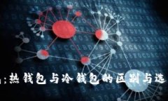 TP钱包：热钱包与冷钱包的区别与选择指南