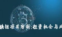 千倍区块链项目分析：投资机会与风险评估