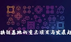 鼓楼区块链基地的重点项目与发展趋势分析