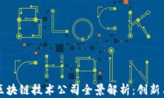 非洲区块链技术公司全景解析：创新与挑战