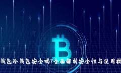 TP钱包冷钱包安全吗?全面解析安全性与使用技巧
