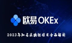 2023年知名区块链项目全面解析
