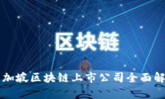 新加坡区块链上市公司全面解析